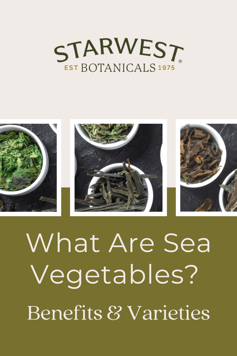 the-benefits-of-sea-vegetables1.png