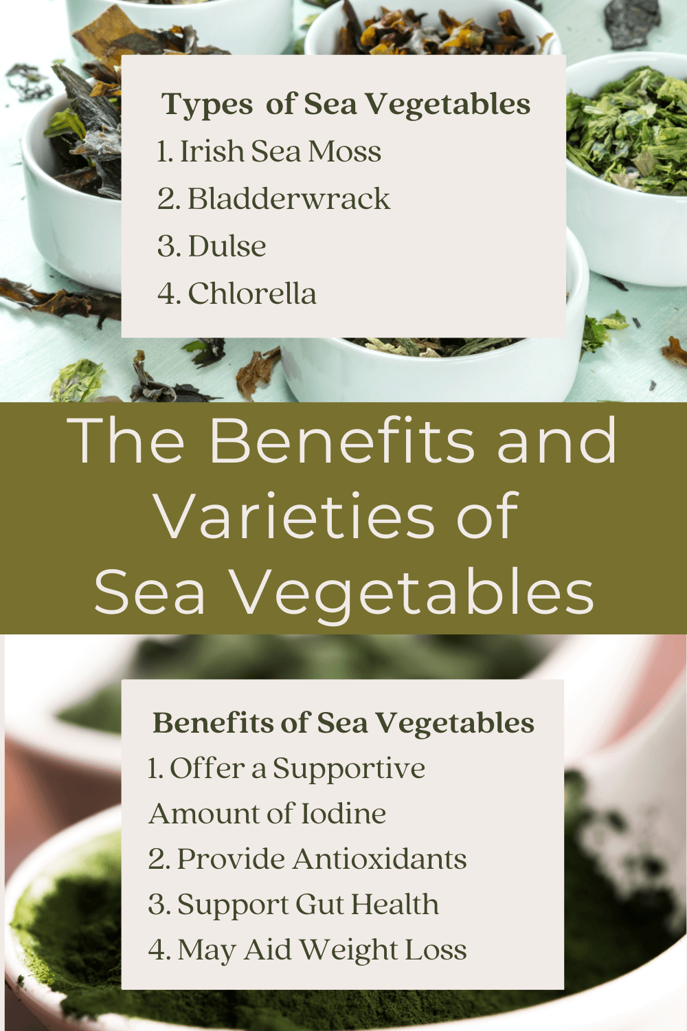 the-benefits-of-sea-vegetables2.png