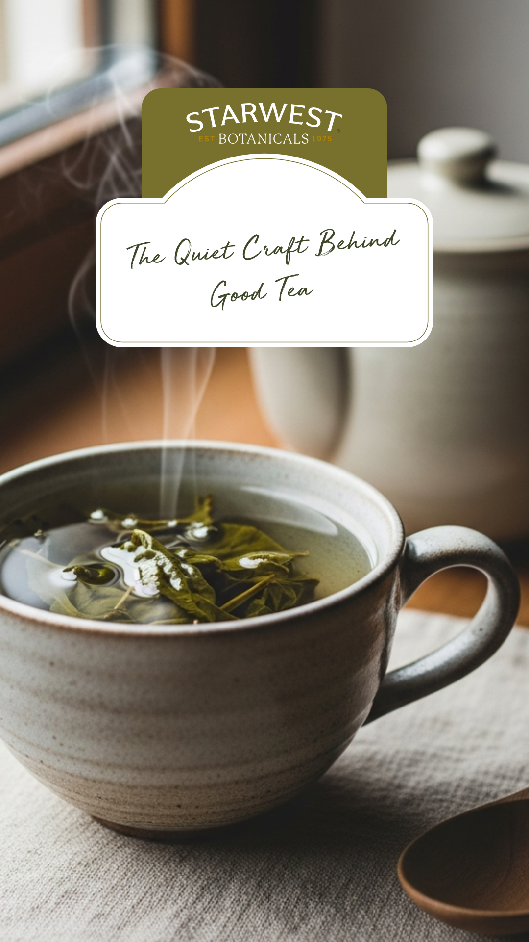 Lighting is natural daylight, warm and quiet. Color palette is soft and neutral. Warm off-whites, muted browns, subtle green tones. No text. No branding. No hands or people visible. The image conveys patience, warmth, and ritual, with ample negative space for editorial use.