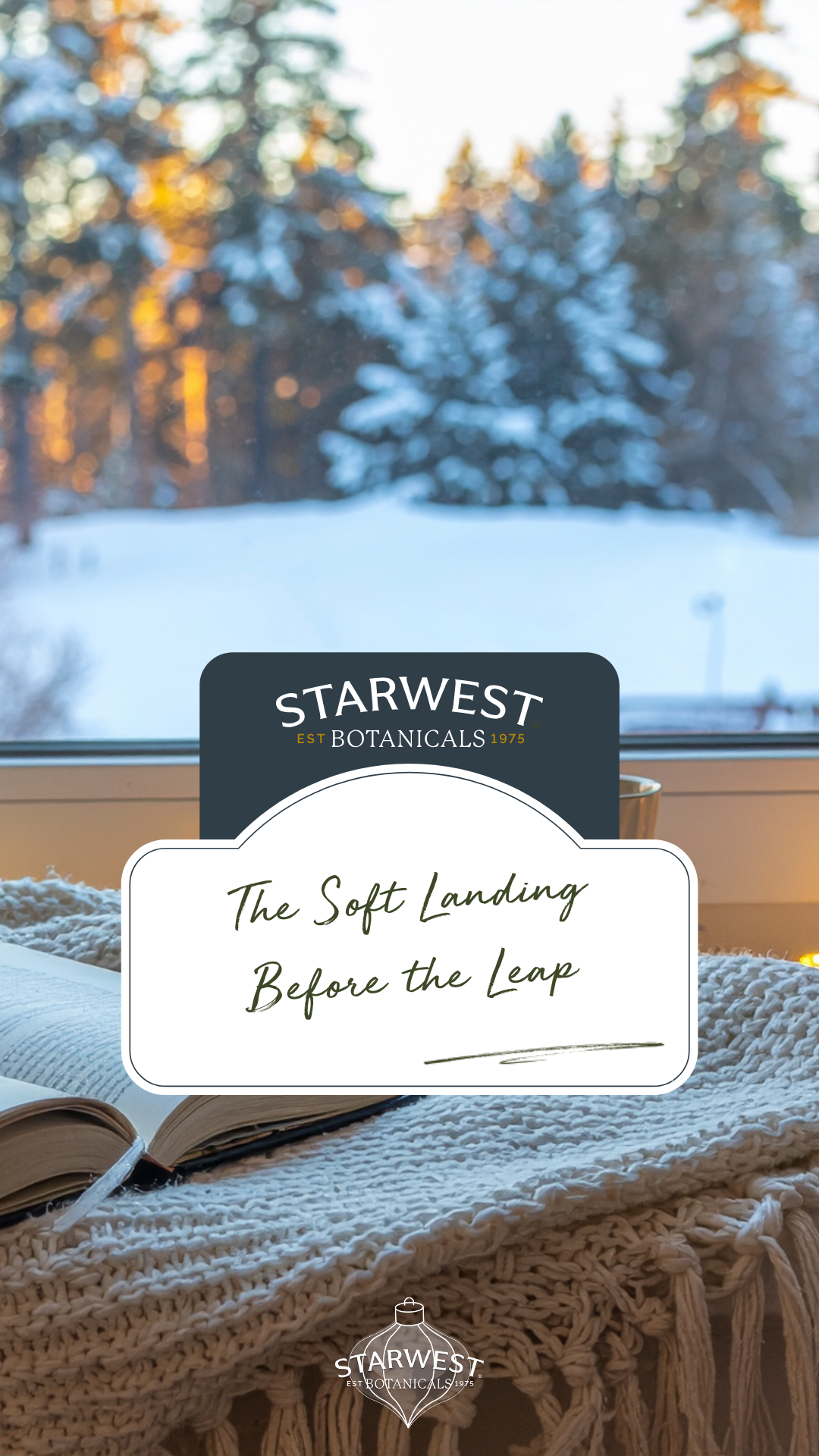 An image for this blog with a title on it that say's the soft landing before the leap