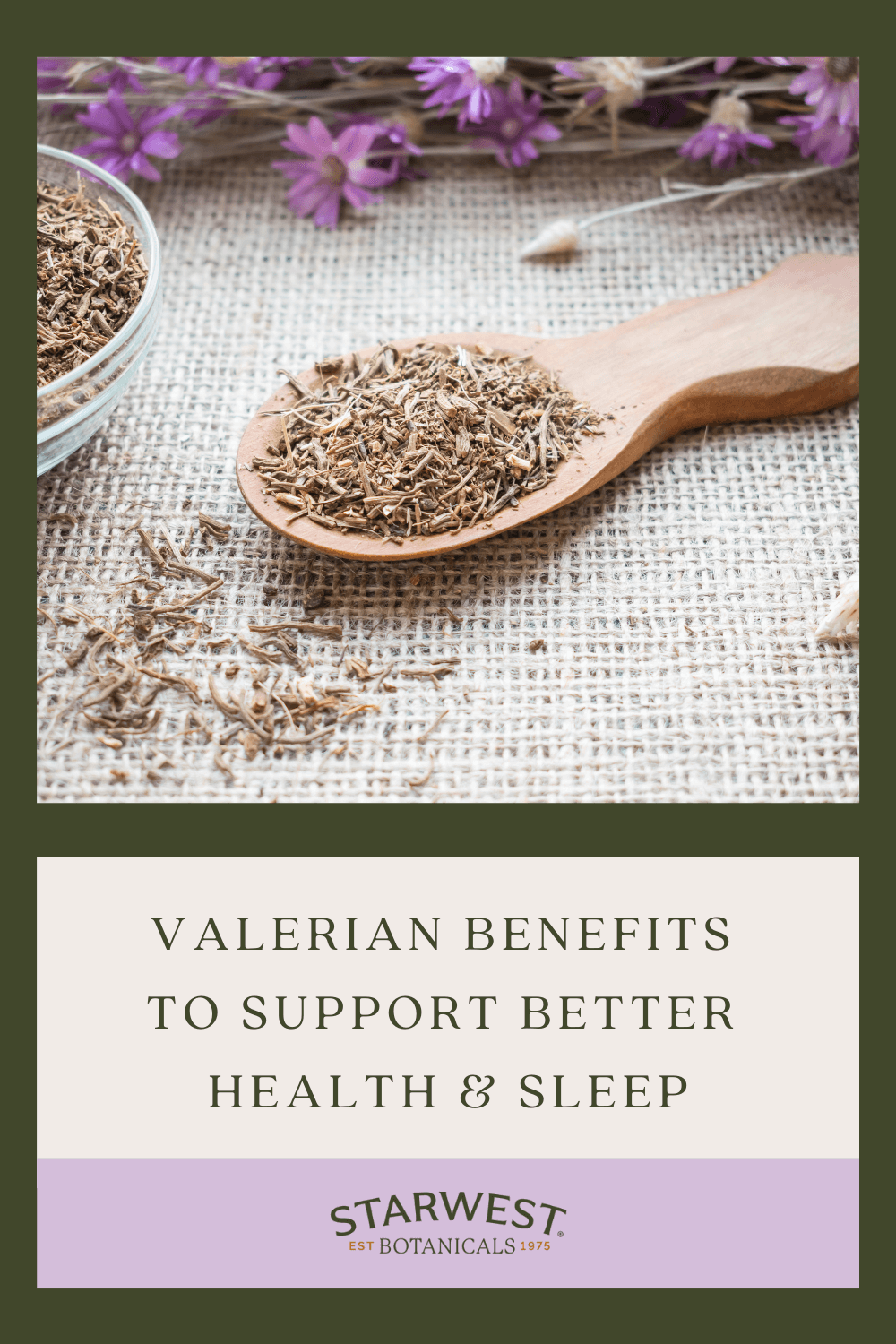 valerian-benefits.png