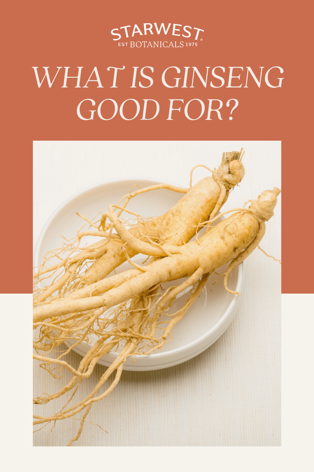 what-is-ginseng-good-for1.png