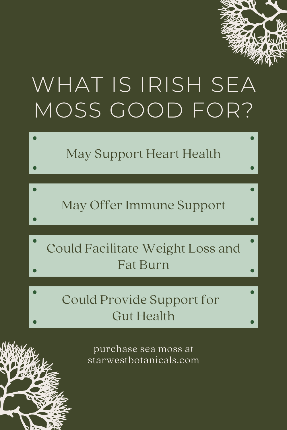 what-is-irish-sea-moss-good-for2.png