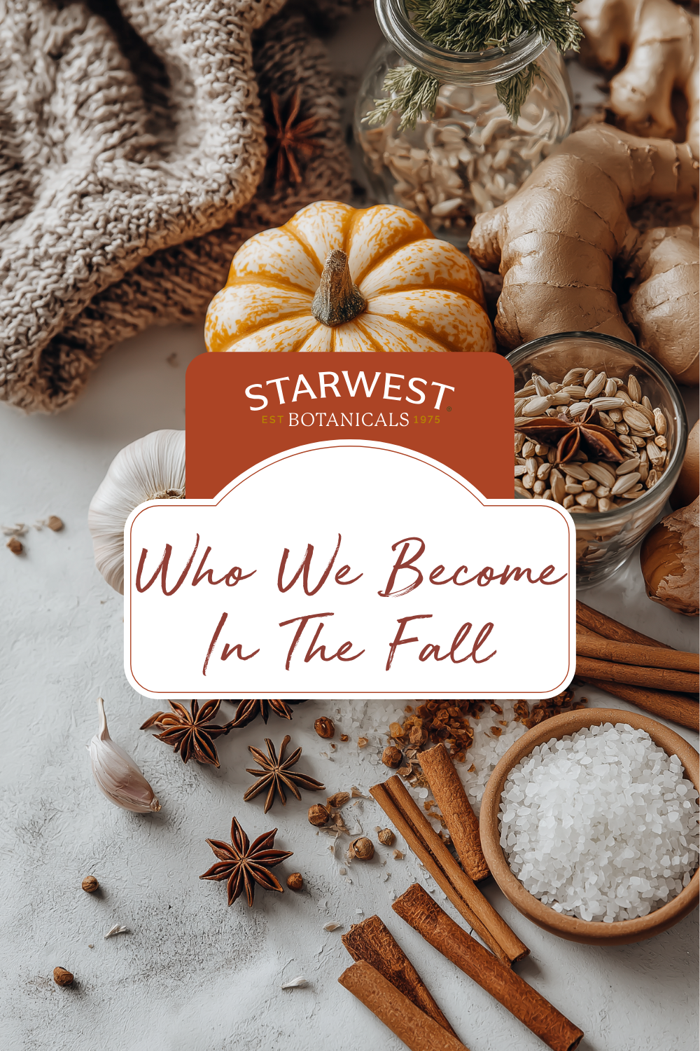 Fall elements scattered including pumpkin, pumpkin seeds, cinnamon, anise stars, garlic, ginger, salt and a sweater
